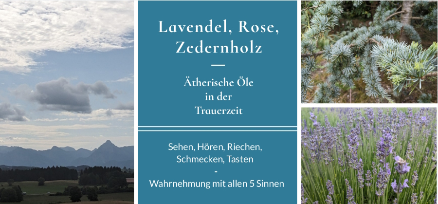 Frischer Wind